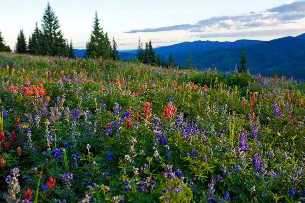 Vail Valley Photo Courtesy Vail Local Marketing District